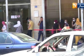 نقل: فتح وكالات الجوية الجزائرية مع تطبيق إجراءات إحترازية ووقائية