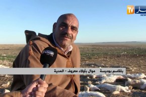 المدية: نفوق حوالي 30 رأسا من الأغنام بقرية الكلخة