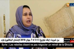 مجتمع: وهيبة تامر..قصة نضال وكفاح عن إمرأة لا تعرف والديها البيولوجيين