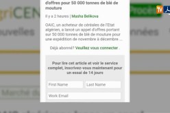 تجارة/ الجزائر تشتري 50 ألف طن من القمح
