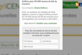 تجارة/ الجزائر تشتري 50 ألف طن من القمح