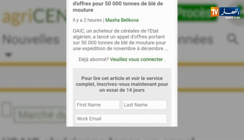 تجارة/ الجزائر تشتري 50 ألف طن من القمح