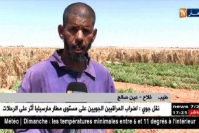 عين صالح: إنتاج البطيخ.. إستثمار فلاحي ناجح تواجهه بعض العراقيل