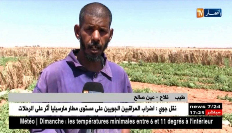 عين صالح: إنتاج البطيخ.. إستثمار فلاحي ناجح تواجهه بعض العراقيل