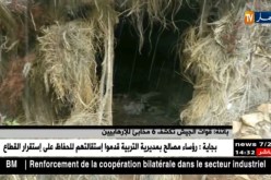 باتنة/ قوات الجيش تكشف 6 مخابئ للإرهابيين