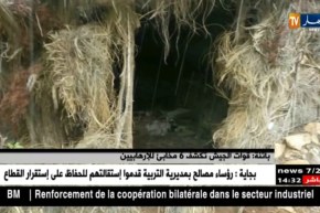 باتنة/ قوات الجيش تكشف 6 مخابئ للإرهابيين