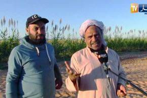 النعامة: الشاب كرزازي عبد الكريم تحدى العراقيل وإمتهن زراعة الذرى كغذاء للمواشي