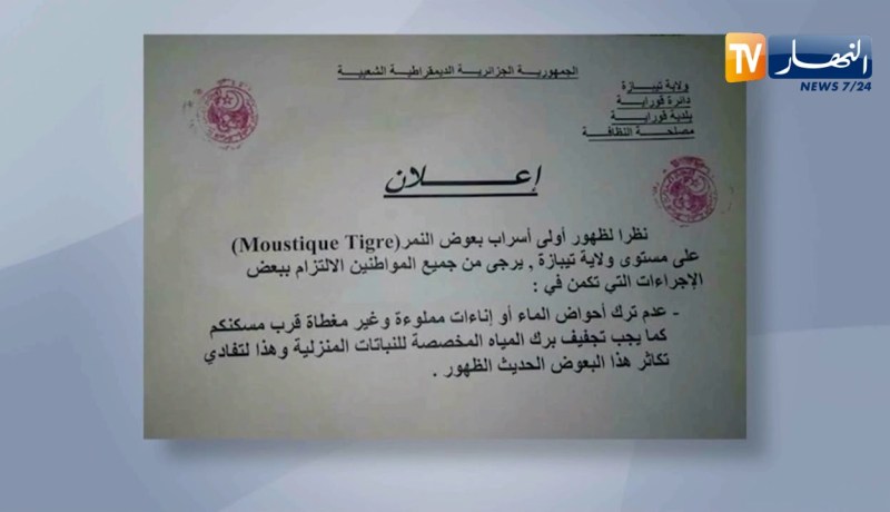 تيبازة: ظهور أولى أسراب بعوض النمر بالولاية