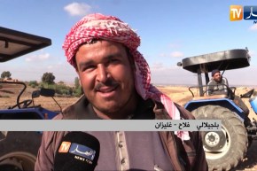 غليزان: تأخر تساقط الأمطار يرهن موسم الحرث والبذر