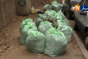 الجزائر تستهلك 7 مليار كيس بلاستيكي سنويا مع غياب شبه تام للرسكلة