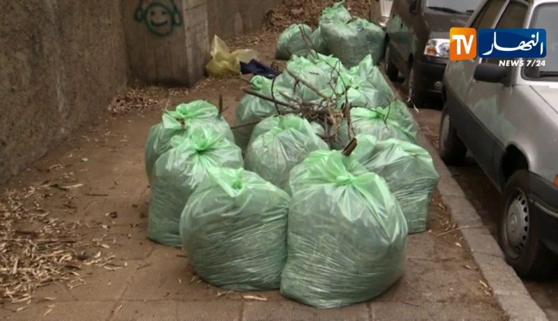 الجزائر تستهلك 7 مليار كيس بلاستيكي سنويا مع غياب شبه تام للرسكلة
