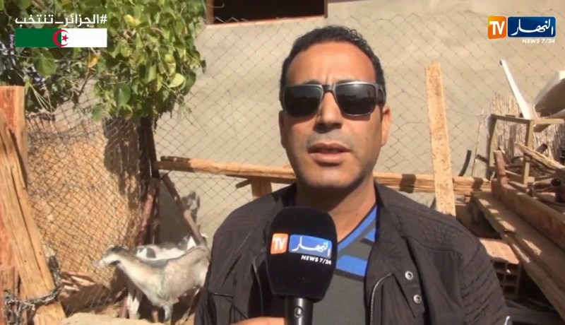 إليزي/ إنتشار رهيب للكلاب الضالة يثير سخط السكان