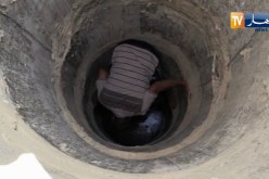 الوادي: حفر وتجهيز 42 بئر رعوي بالطاقة الشمسية لفائدة البدو الرحل
