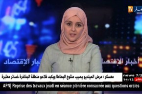 كوريا الجنوبية/ العملاق LG يعرض من سيول إستراتيجيته على الصحفيين الجزائريين