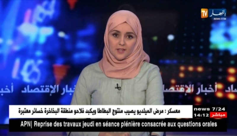 كوريا الجنوبية/ العملاق LG يعرض من سيول إستراتيجيته على الصحفيين الجزائريين