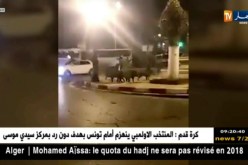 وهران: قطيع من الخنازير البرية في جولة سياحية في قلب شوارع عاصمة الغرب..!!