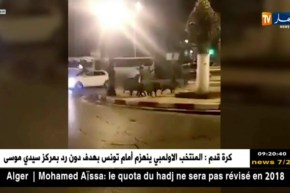 وهران: قطيع من الخنازير البرية في جولة سياحية في قلب شوارع عاصمة الغرب..!!