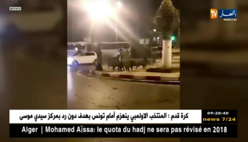 وهران: قطيع من الخنازير البرية في جولة سياحية في قلب شوارع عاصمة الغرب..!!