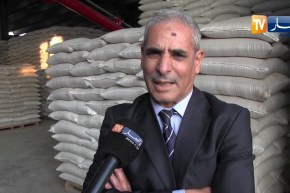أم البواقي: منتوج الحبوب يوفر 100 مليون دولار على الخزينة العمومية