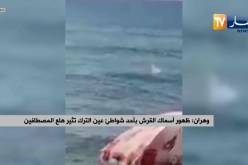وهران: ظهور أسماك القرش بأحد شواطئ عين الترك تثير هلع المصطافين