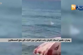 وهران: ظهور أسماك القرش بأحد شواطئ عين الترك تثير هلع المصطافين