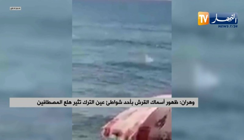 وهران: ظهور أسماك القرش بأحد شواطئ عين الترك تثير هلع المصطافين