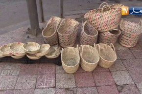 مجتمع: عمي جيلالي حرفي يبدع في صناعة سلل الحلفاء التقليدية