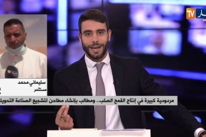 مردودية كبيرة في إنتاج القمح الصلب ..ومطالب بإنشاء مطاحن لتشجيع الصناعة التحويلية