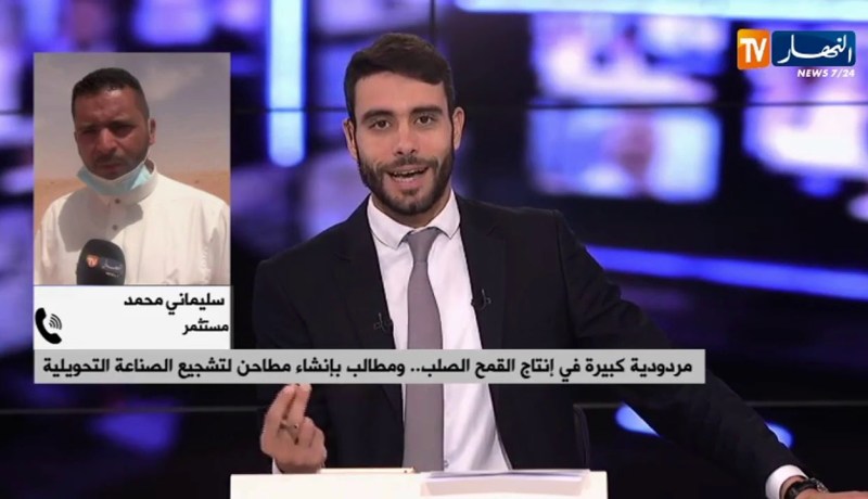 مردودية كبيرة في إنتاج القمح الصلب ..ومطالب بإنشاء مطاحن لتشجيع الصناعة التحويلية