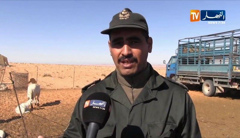 الأغواط/ إنطلاق عملية تلقيح المواشي بعد إستلام 40 ألف وحدة من اللقاح