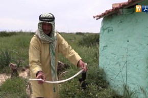 معسكر: زيارة الأضرحة ..بين الطقوس الغريبة و عادات السكان المحليين