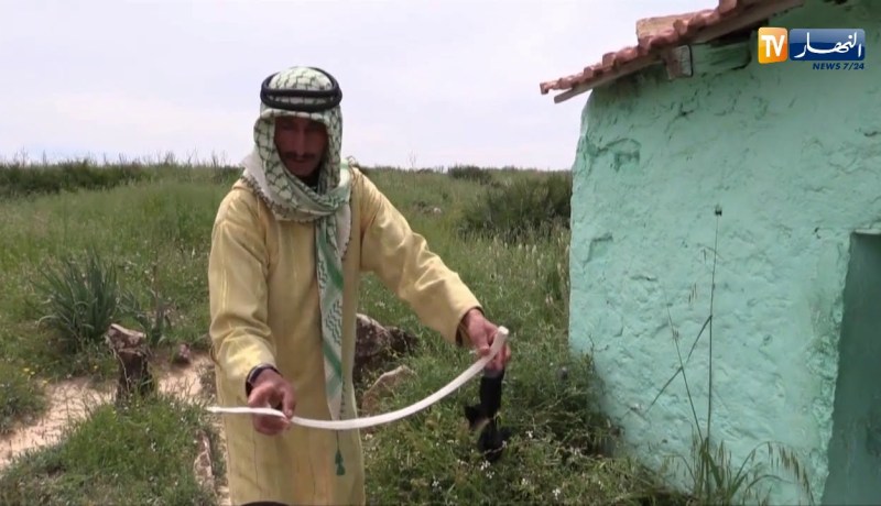 معسكر: زيارة الأضرحة ..بين الطقوس الغريبة و عادات السكان المحليين