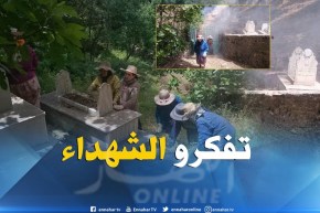 شاهد مجاهدات يتطوعن لتنظيف مقابر الشهداء في عيد الإستقلال