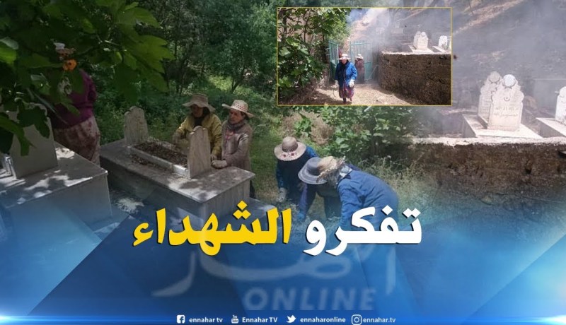 شاهد مجاهدات يتطوعن لتنظيف مقابر الشهداء في عيد الإستقلال