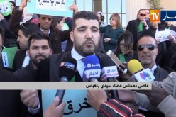 قضاة وأمناء الضبط في وقفات أمام المجالس القضائية مطالبين بإحترام الدستور