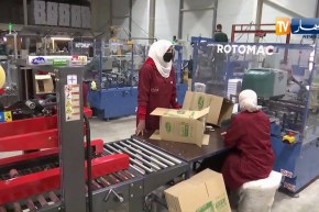 جراد: إقرار حضور ممثلي مسيري المؤسسات في جميع الهيئات البيداغوجية التابعة للجامعات