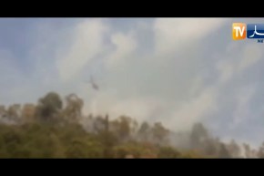 تيزي وزو.. حريق يلتهم غابة حروزة والحماية المدنية تستعين بالمروحية لإطفاءه