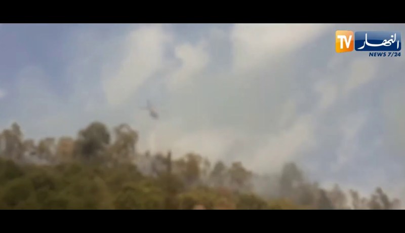 تيزي وزو.. حريق يلتهم غابة حروزة والحماية المدنية تستعين بالمروحية لإطفاءه