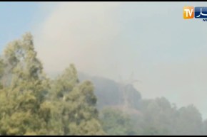 بجاية: شاهد نشوب حريق بغابة سيدي يوسف بدرقينة