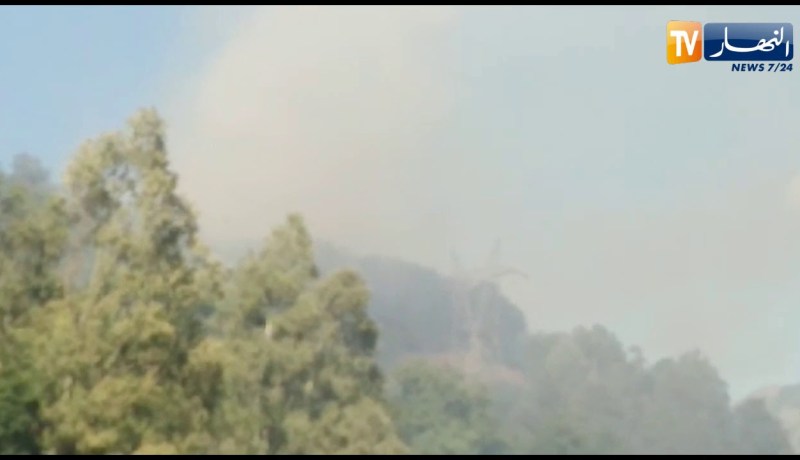 بجاية: شاهد نشوب حريق بغابة سيدي يوسف بدرقينة