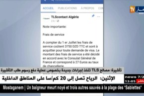 تأشيرة: مصالح TLS تتخذ إجراءات جديدة بخصوص عملية دفع رسوم طلب التأشيرة