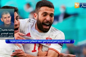 محمد الوضاحي: إسبانيا في المربع الذهبي يعتبر إنجازا وسويسرا مفاجأة اليورو