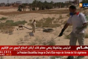 ورقلة: إصابة طفلين يبلغان من العمر 4 سنوات بلسعات العقارب.. التفاصيل