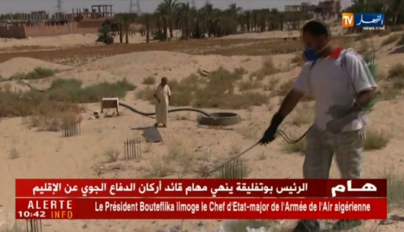 ورقلة: إصابة طفلين يبلغان من العمر 4 سنوات بلسعات العقارب.. التفاصيل