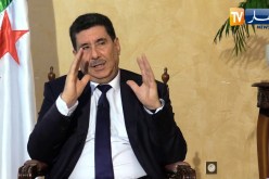 شريف عماري: هذه هي مهمة ديوان الفلاحة الصحراوية