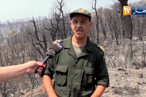 تيزي وزو: فتح تحقيقات ميدانية للوصول لمرتكبي الجرائم ضد العصابات