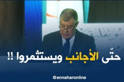 الرئيس بوتفليقة: “نفتح المجال للأجانب للإستثمار في الطاقة المتجدّدة..!”