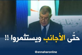 الرئيس بوتفليقة: “نفتح المجال للأجانب للإستثمار في الطاقة المتجدّدة..!”