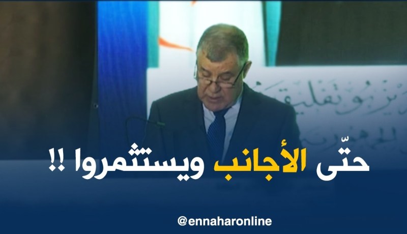 الرئيس بوتفليقة: “نفتح المجال للأجانب للإستثمار في الطاقة المتجدّدة..!”