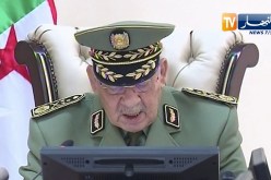 دفاع: رئيس الأركان يكشف أن أطرافا داخلية وخارجية يزعجها مهمة الجيش